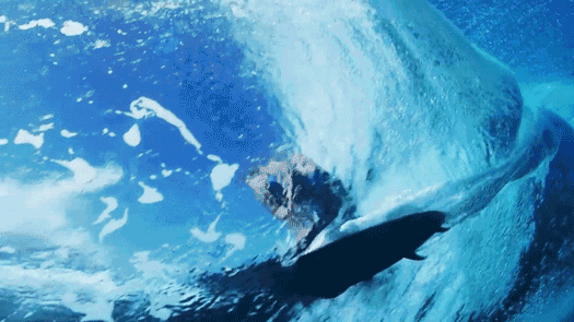 1569483097856361.gif 1515484085658900.gif
